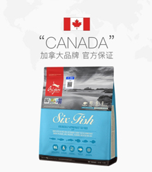 渴望六种鱼猫粮